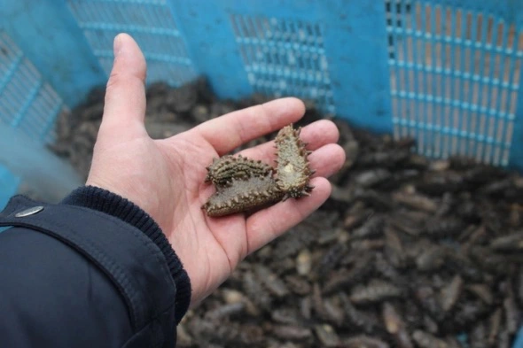 Пресс-служба ВНИРО