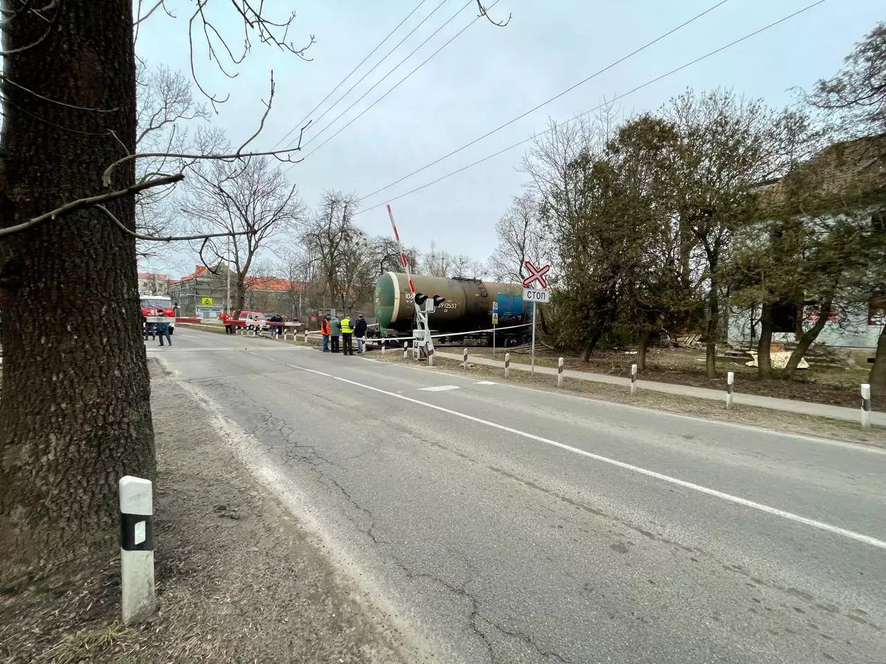 Александр Подгорчук
