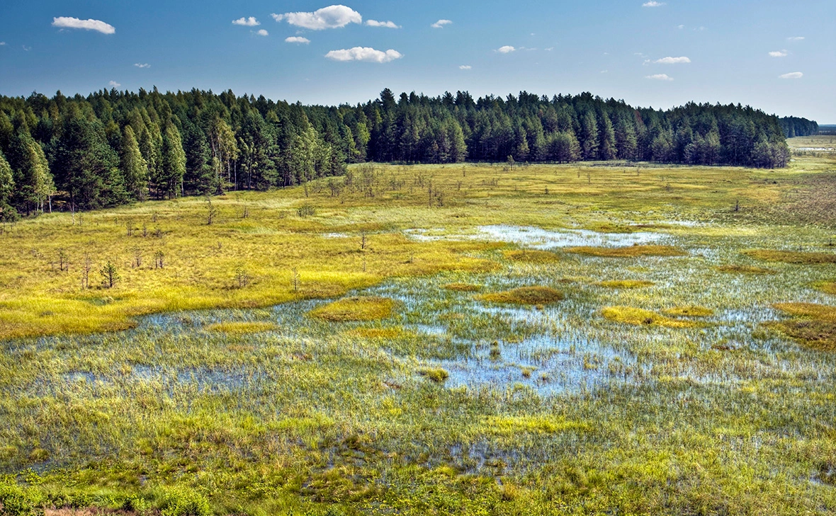 Lydie Gigerichova / imagebroker.com / Global Look Press