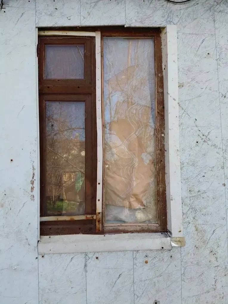 Фото: kravchenko_glava_nvrsk / Telegram