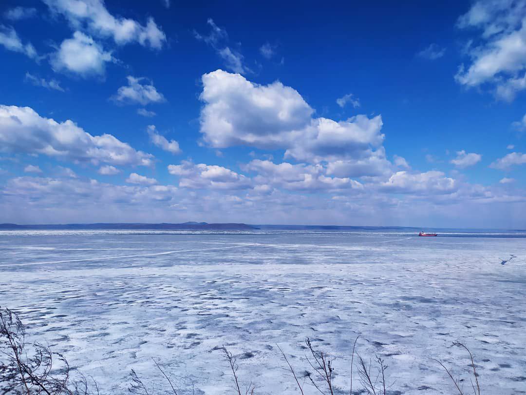 Фото: РБК Приморье