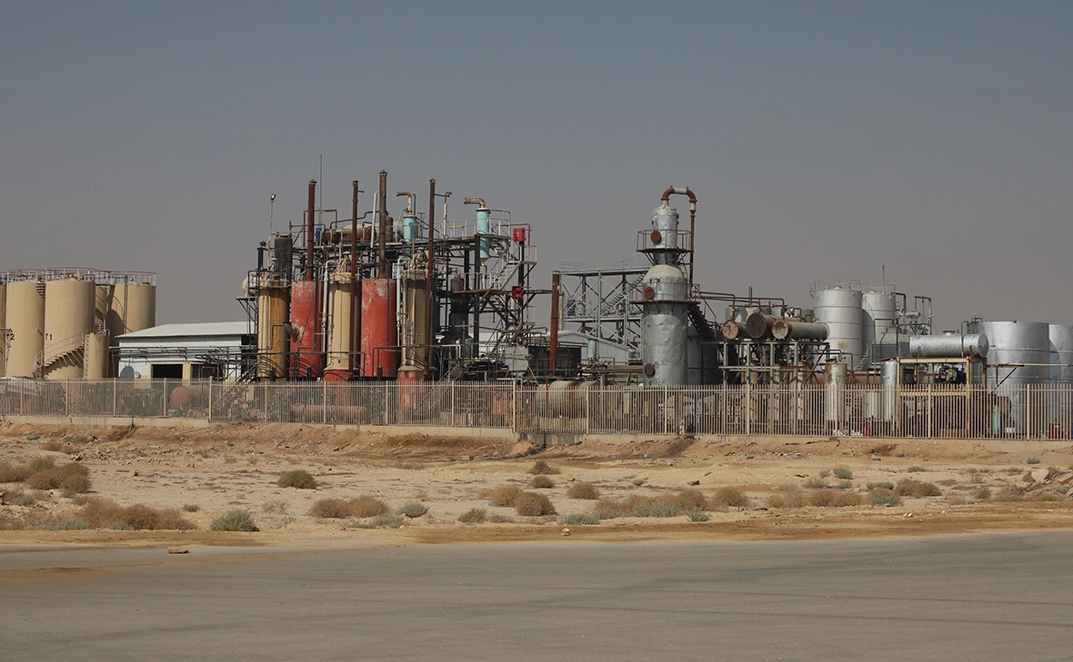 Leo Morgan / Shutterstock