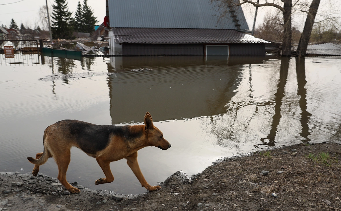 Донат Сорокин / ТАСС