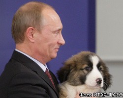 В.Путин отблагодарил мальчика Диму за кличку для своей собаки