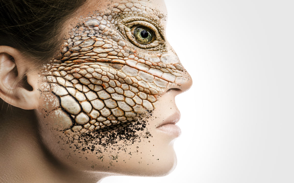 Космический заговор: кто такие рептилоиды