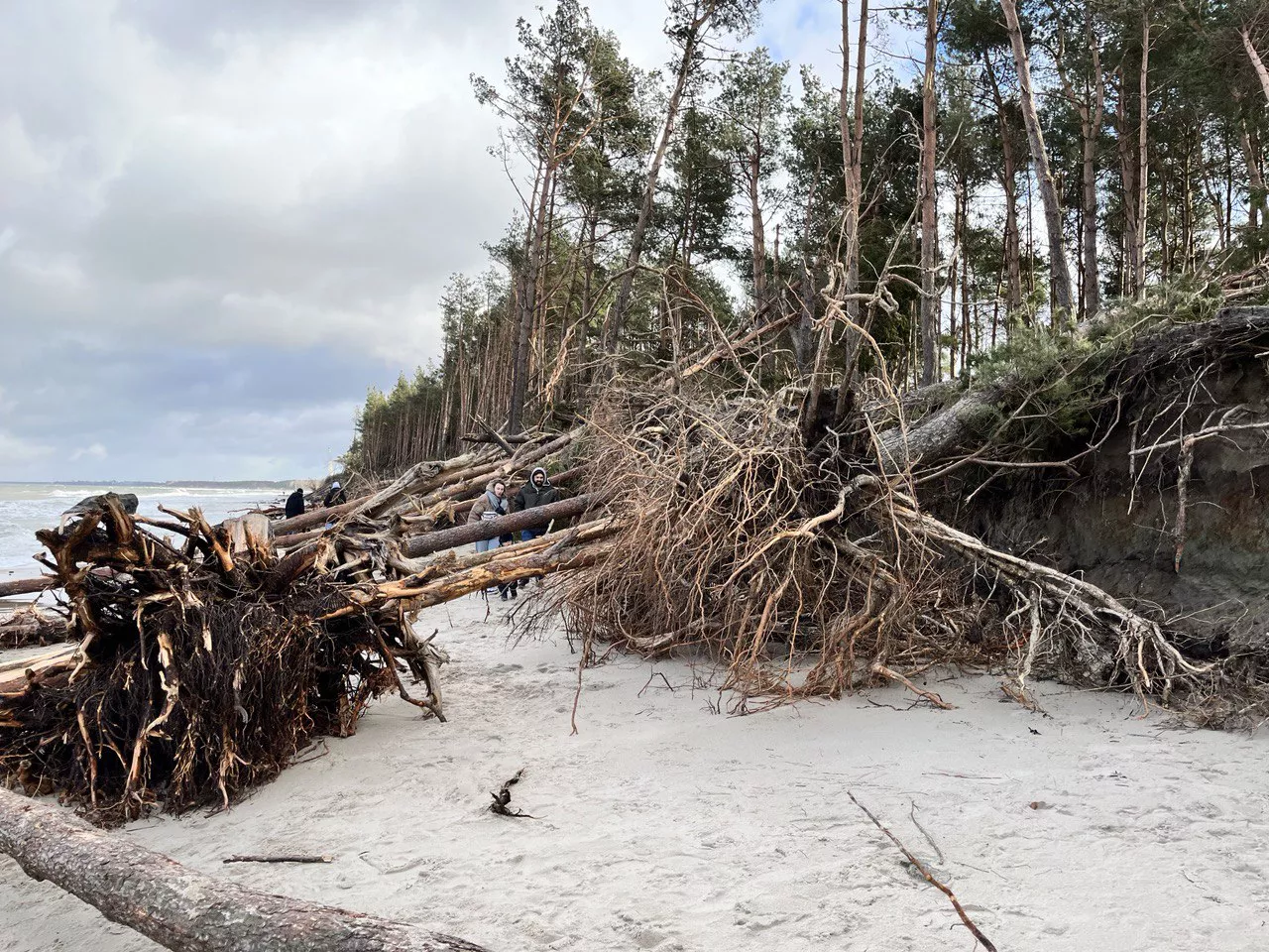 Александр Подгорчук