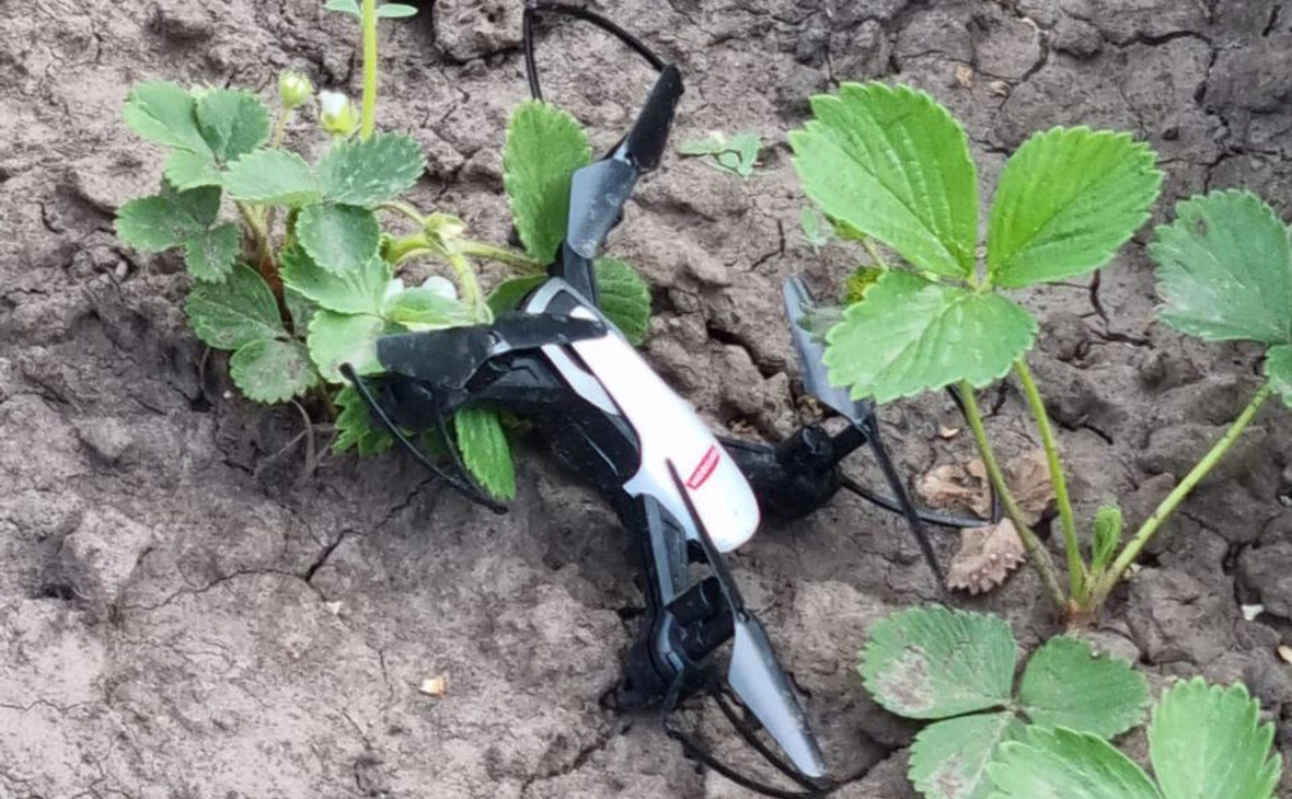 gubernator_46 / Telegram