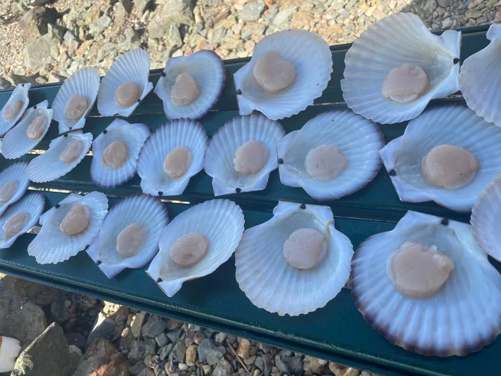 РБК Приморье