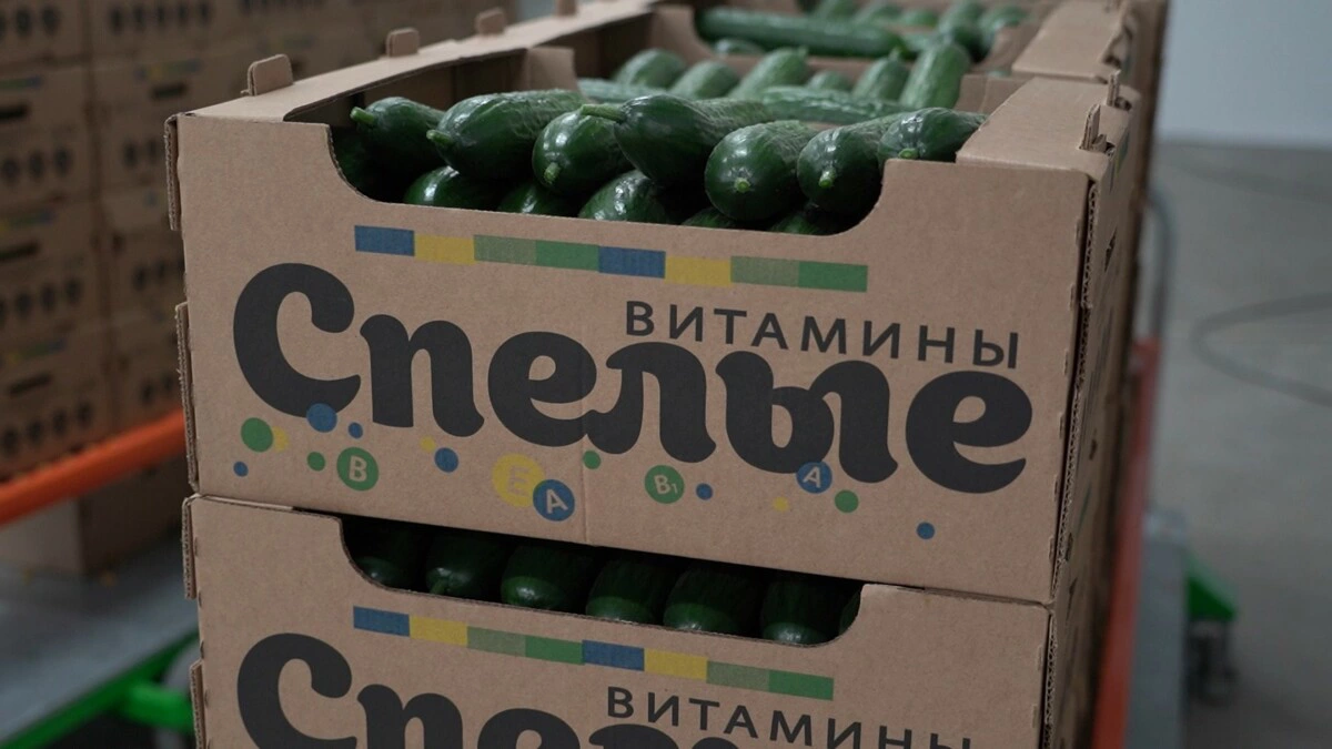 Правительство Камчатского края