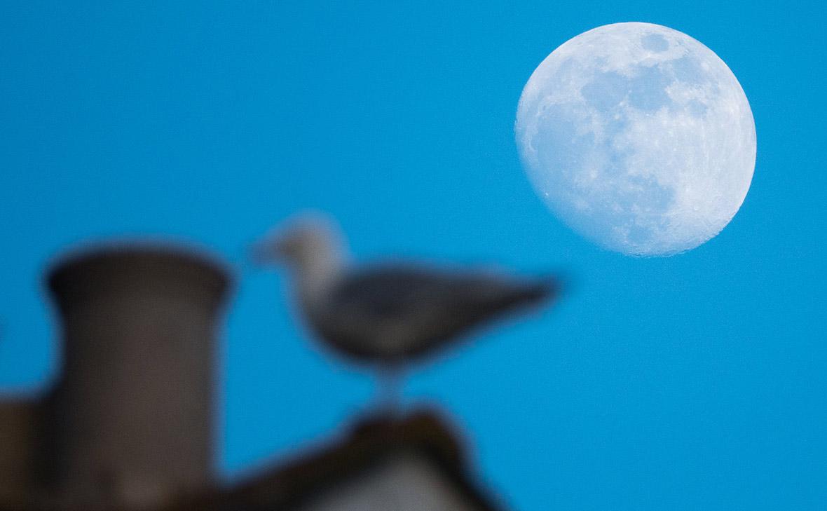 Фото: Matt Cardy / Getty Images