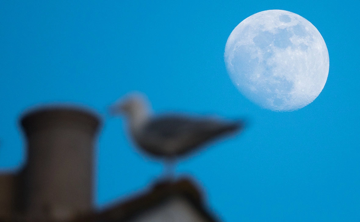 Matt Cardy / Getty Images