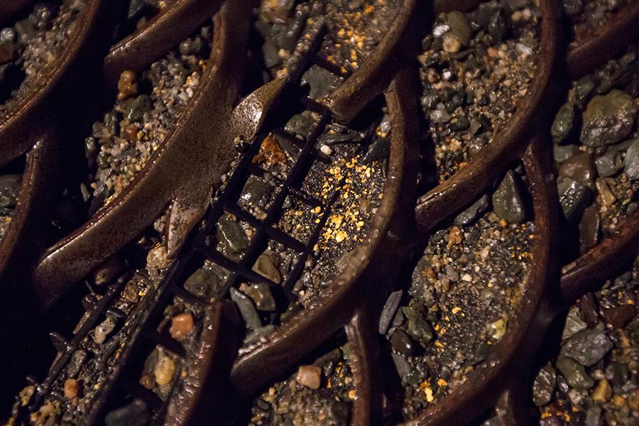 Фото: Игорь Агеенко / РИА Новости