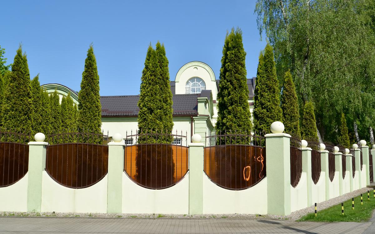 Фото: Irina Borsuchenko / Shutterstock / FOTODOM 
