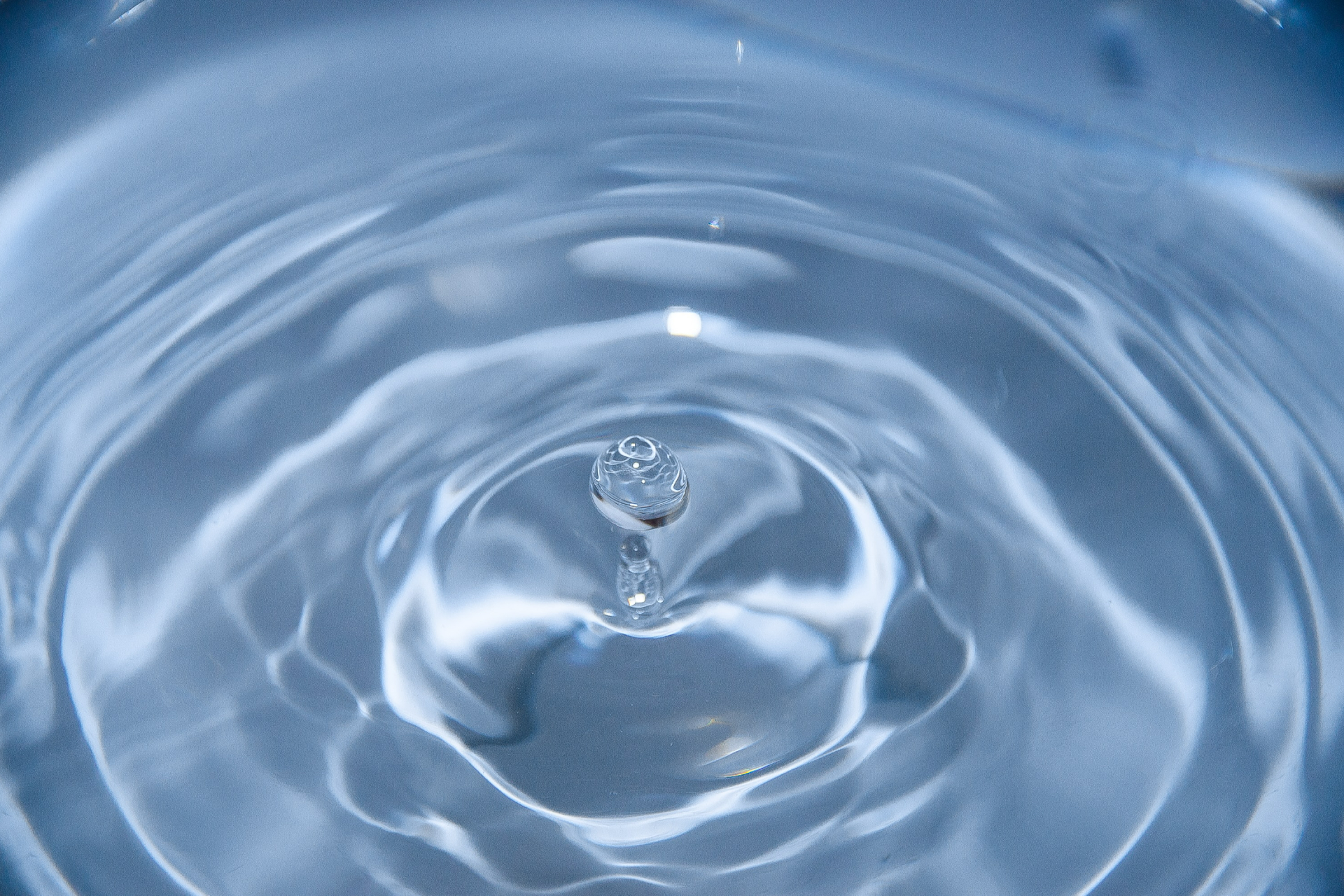 Вода жизненно важна для правильного функционирования организма, в значительной степени отвечает за клеточный гомеостаз и растворение питательных веществ