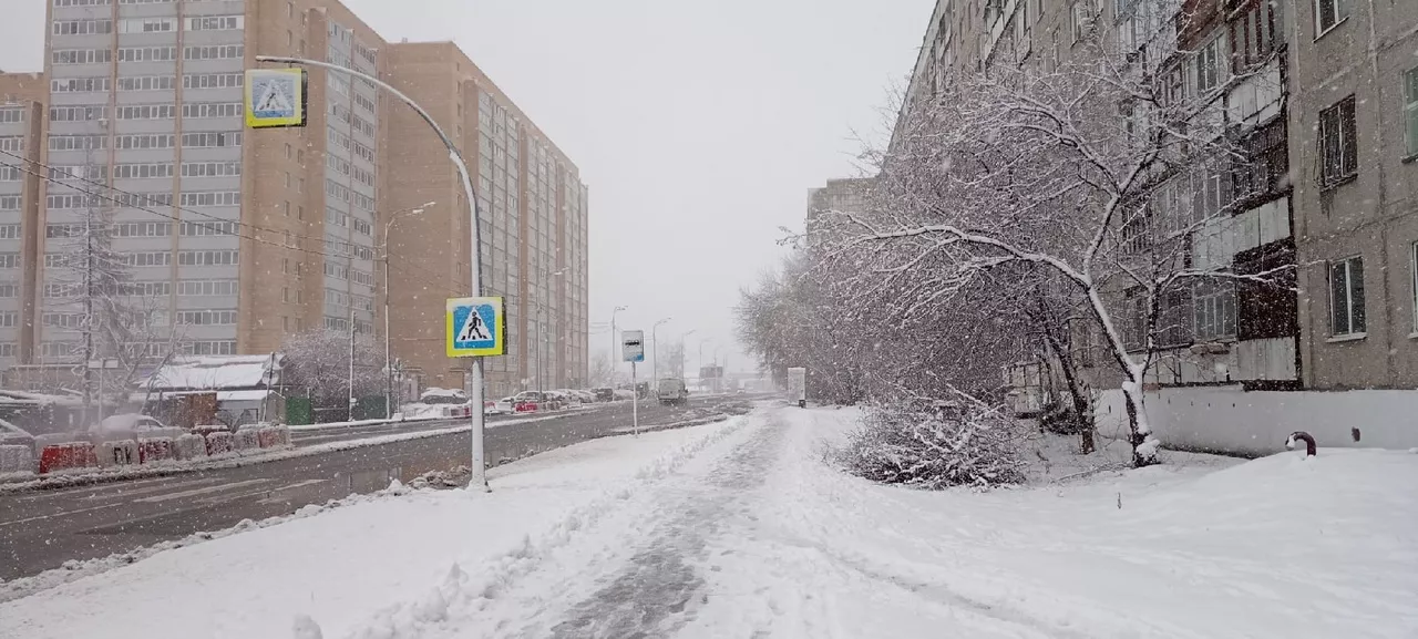 Светлана Садырина