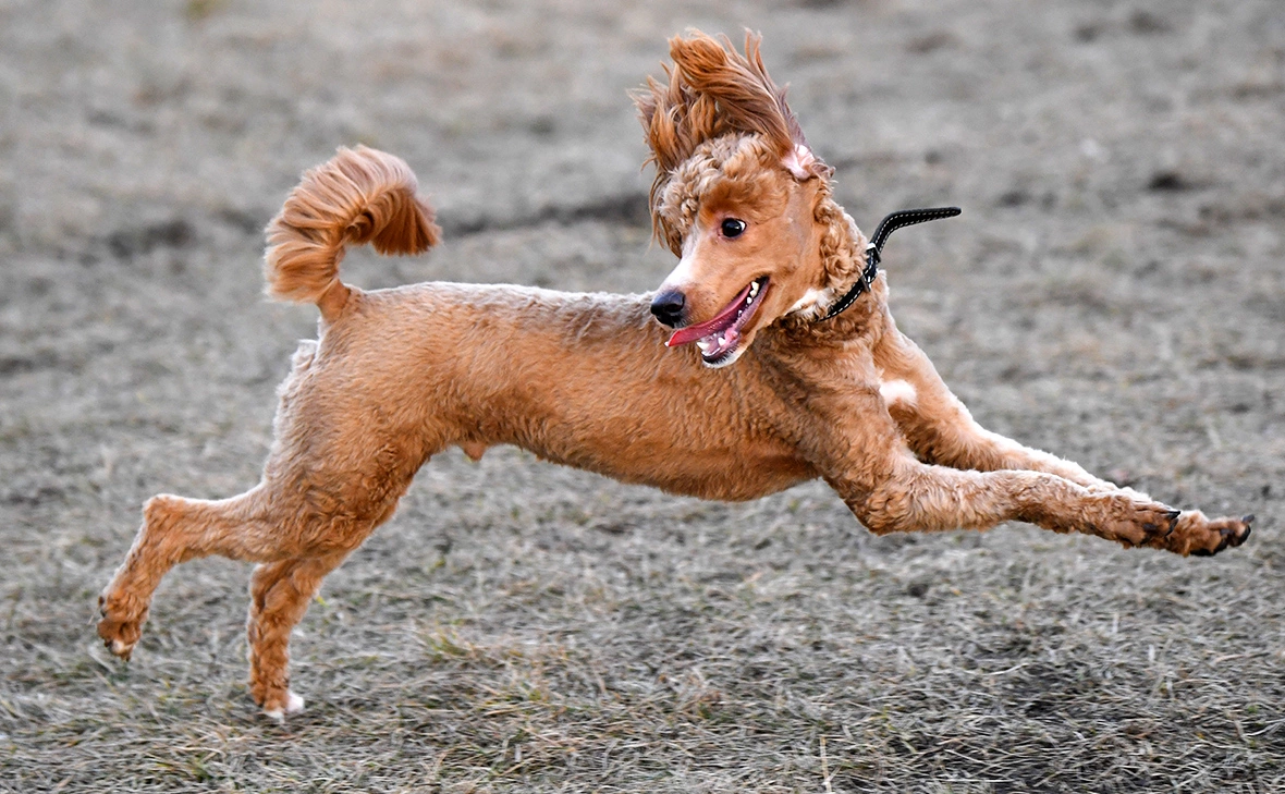 Илья Наймушин / РИА Новости