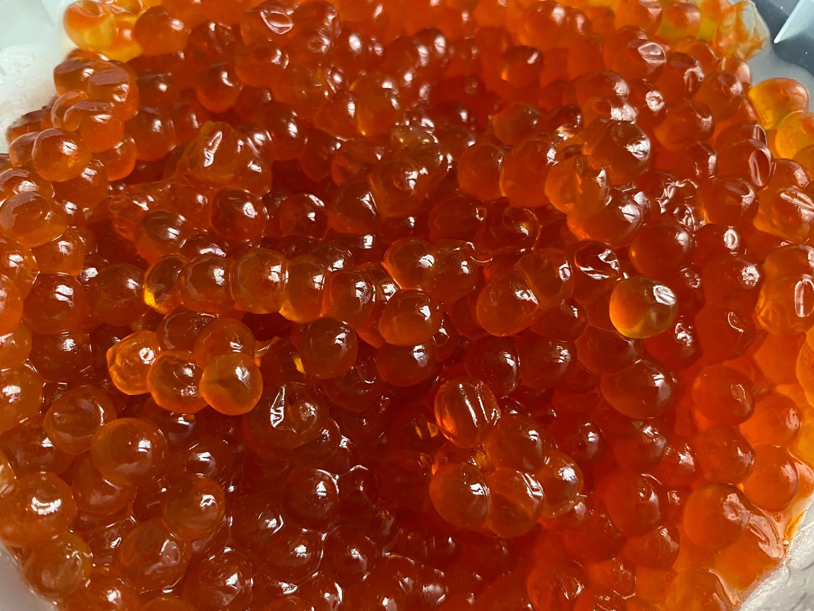 РБК Приморье