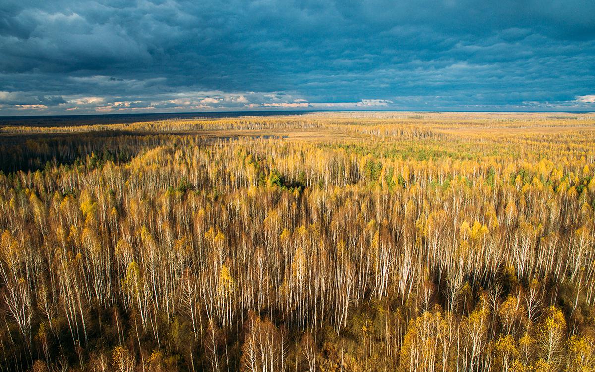 Фото:  Наталья Гарнелис / ТАСС