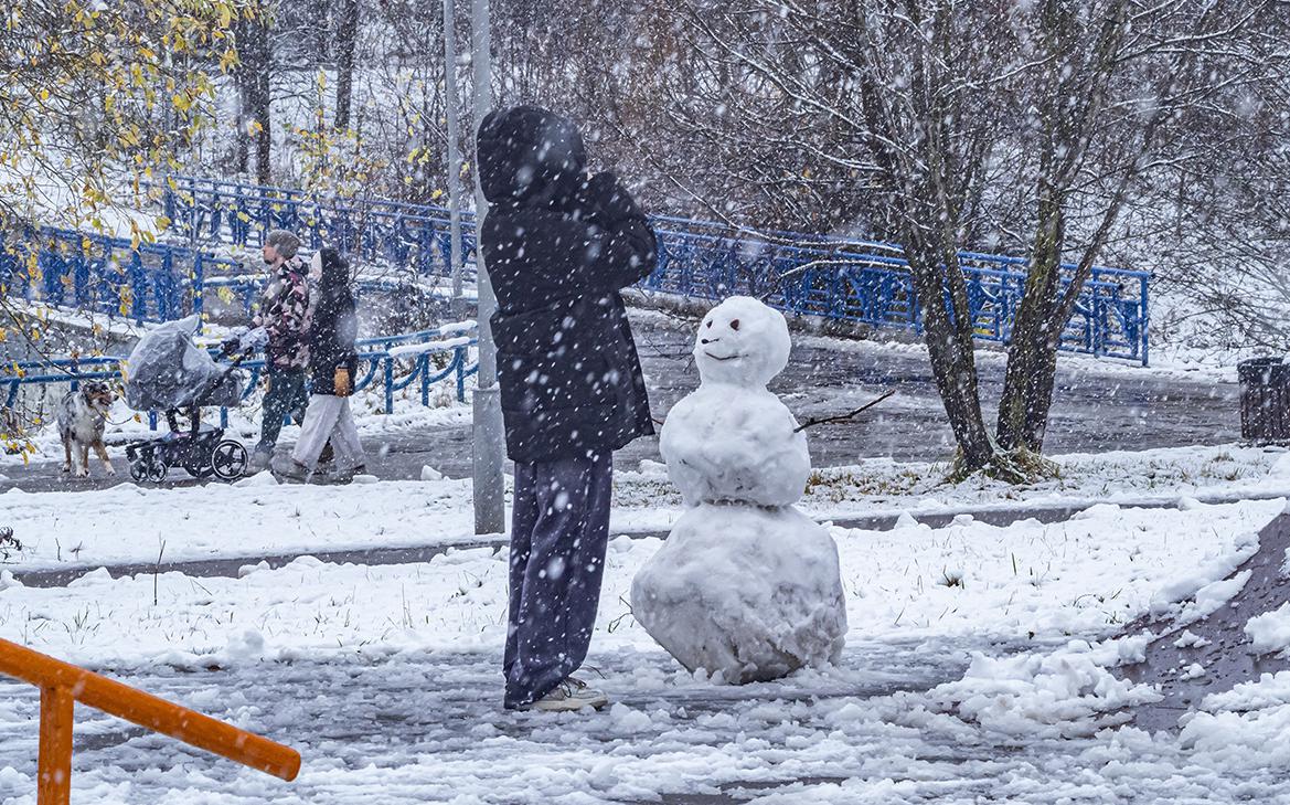 Москвичей предупредили о мокром снеге в ближайшие дни
