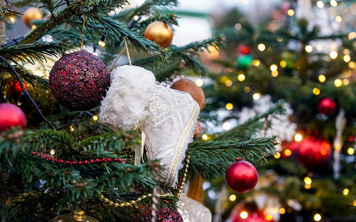 Фото: Авилов Александр / Агентство «Москва»