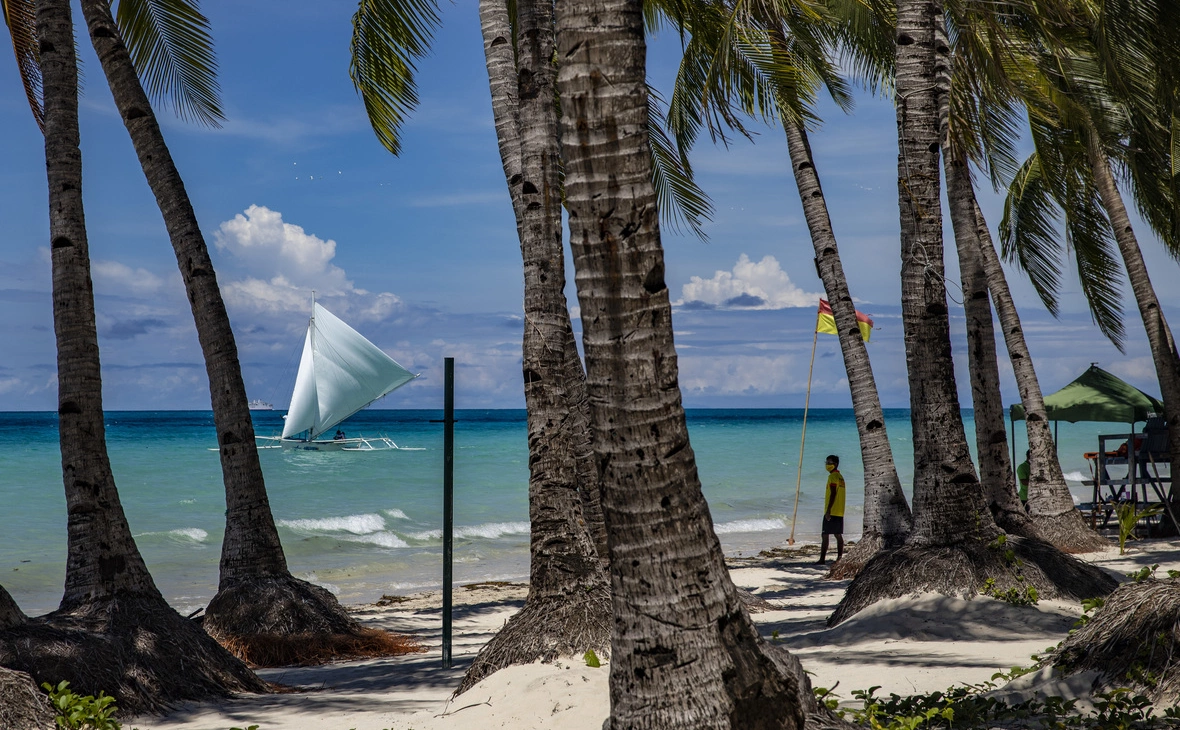 Ezra Acayan / Getty Images