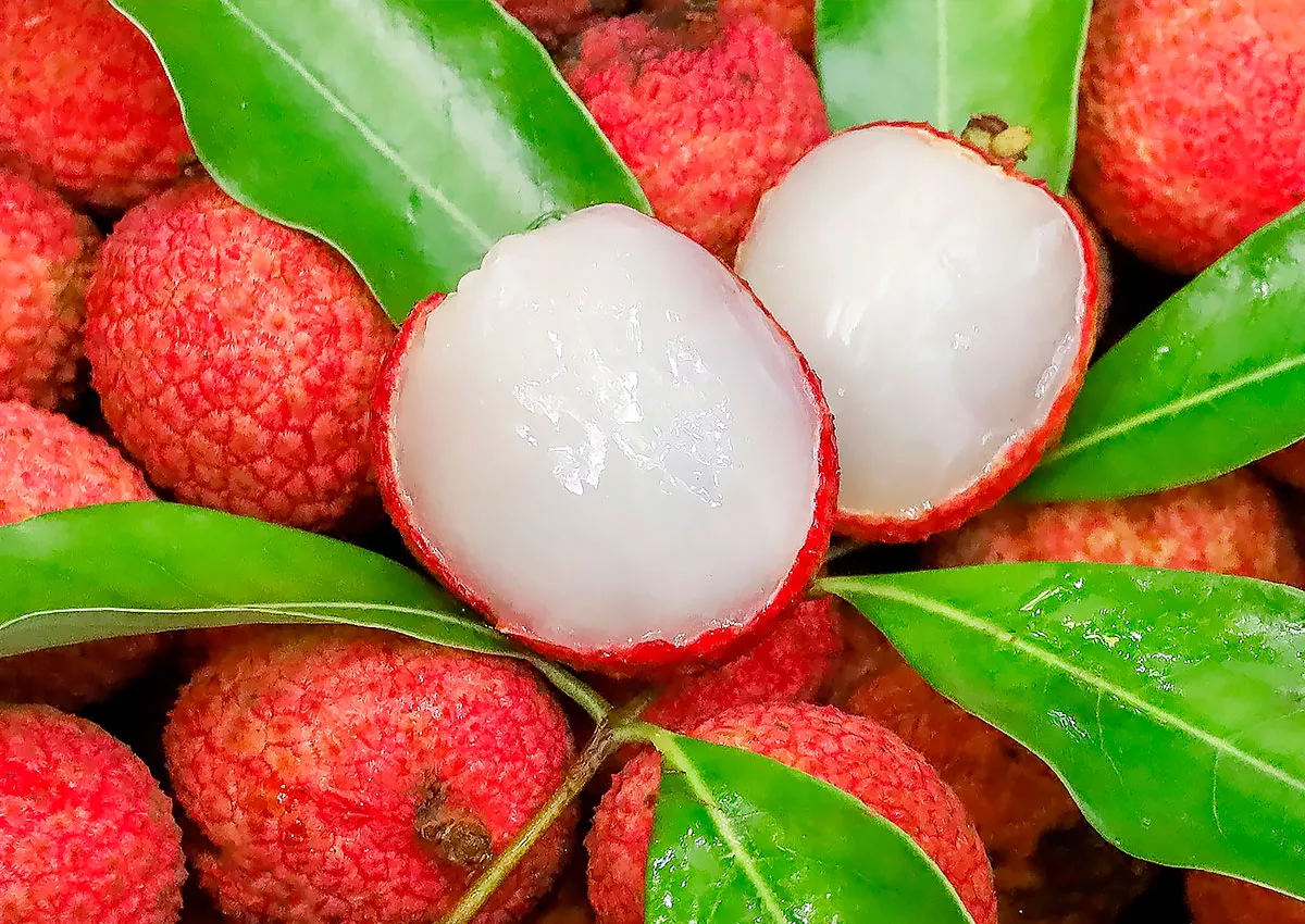 Фрукт личи что это такое. Личи польза. Fresh Lychee. Личи желто красные ЮАР. Личи и базиликом фон.