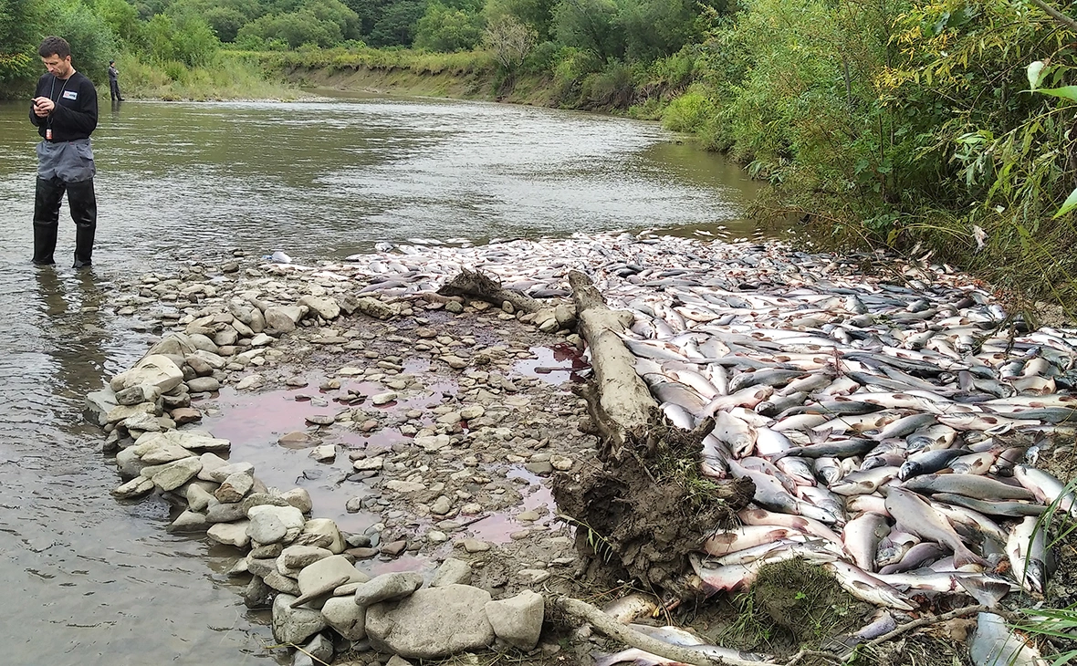  Ксения Быкова / ТАСС