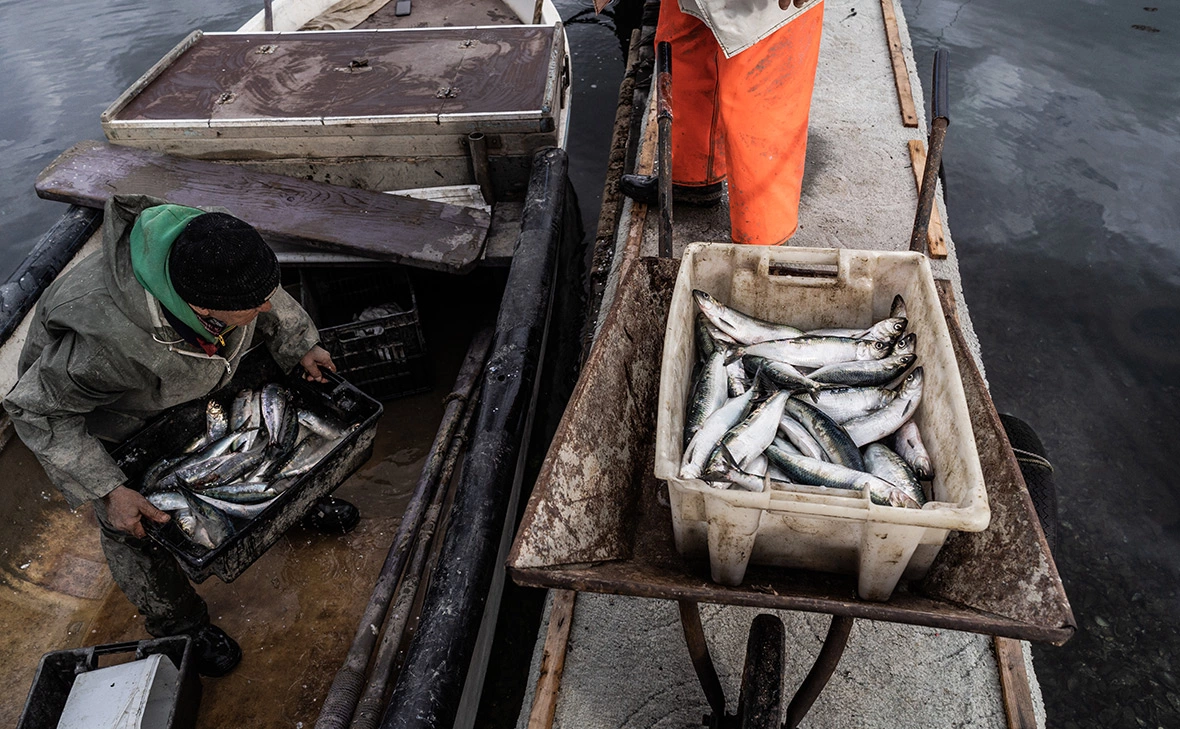 Hristo Rusev / Getty Images