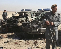 Теракт на собачьих боях в Афганистане: погибли 80 человек