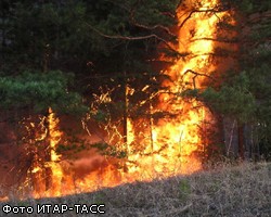 В России зарегистрировано 144 лесных пожара
