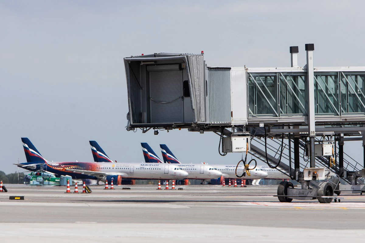 Александр Подгорчук