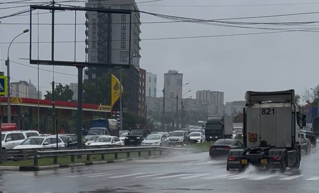 Фото: Михаил Шестаков / РБК Новосибирск