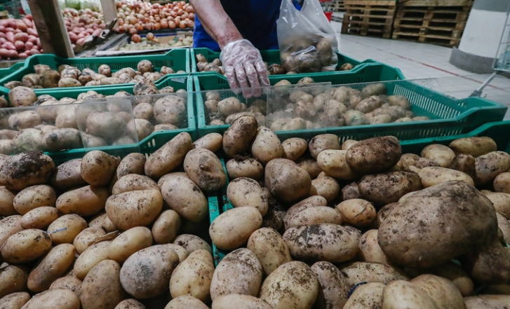 Андрей Любимов / РБК