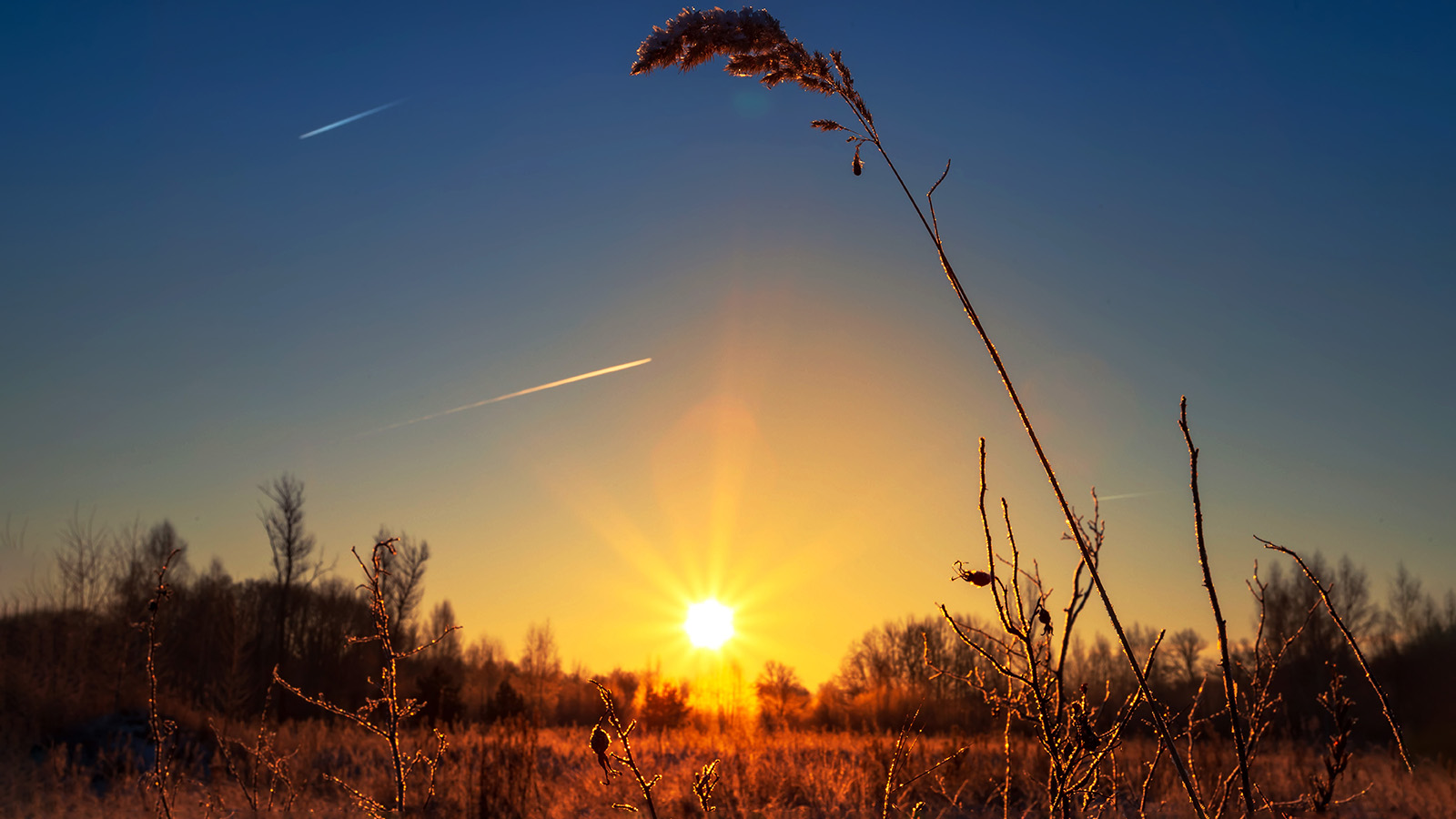 Назван самый короткий световой день в 2025 году