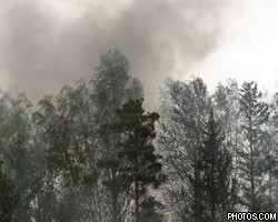 Лесные пожары под Челябинском: объявлена чрезвычайная ситуация
