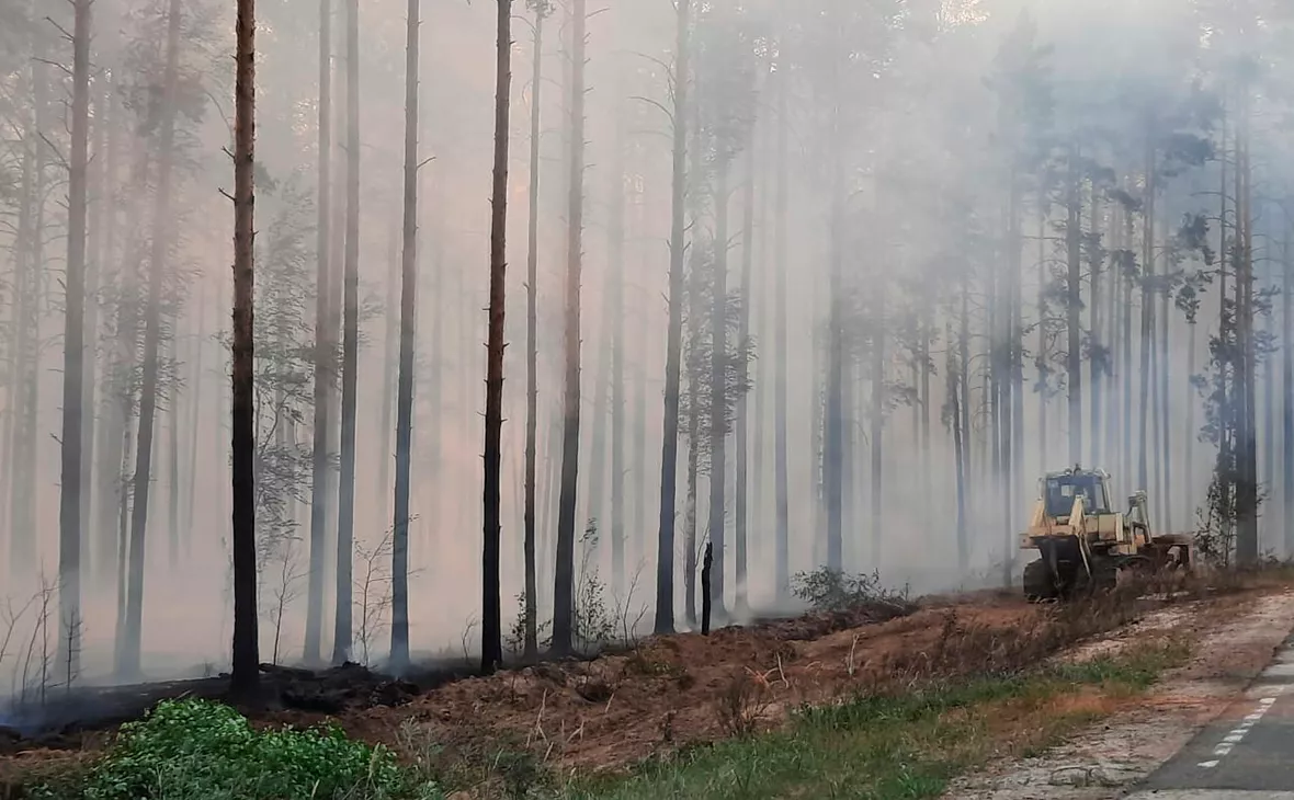 МЧС РФ / Global Look Press