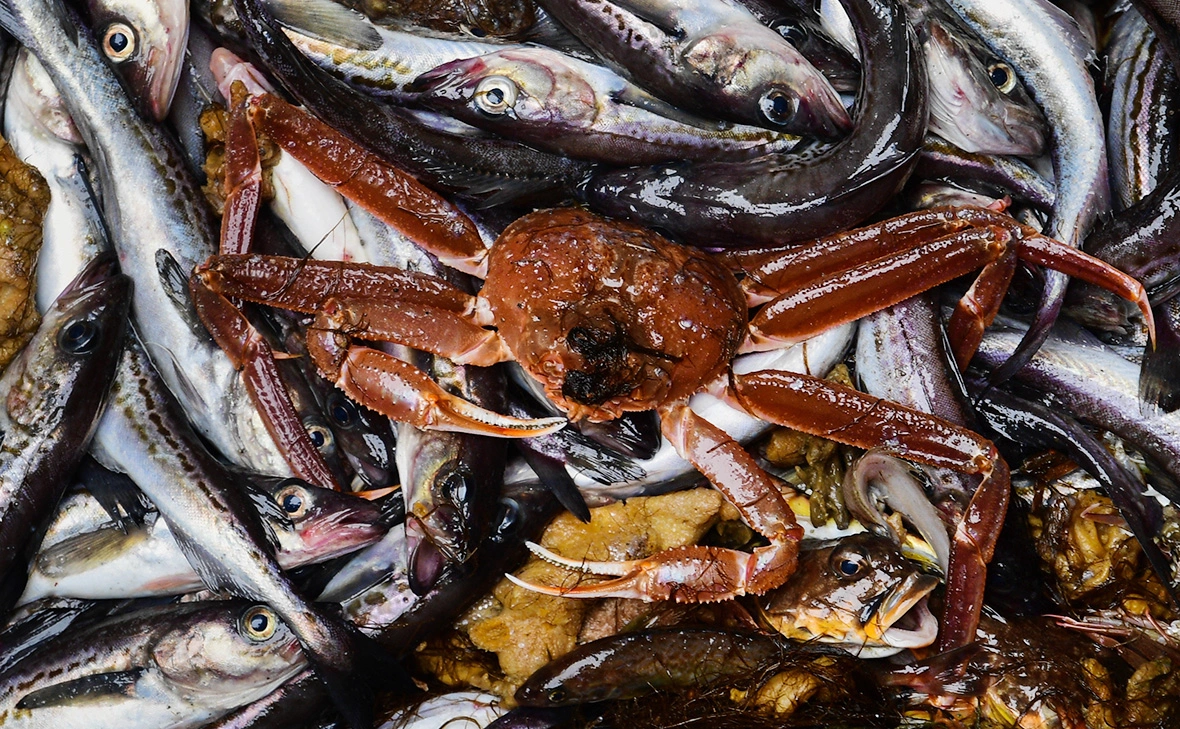 Юрий Смитюк / ТАСС