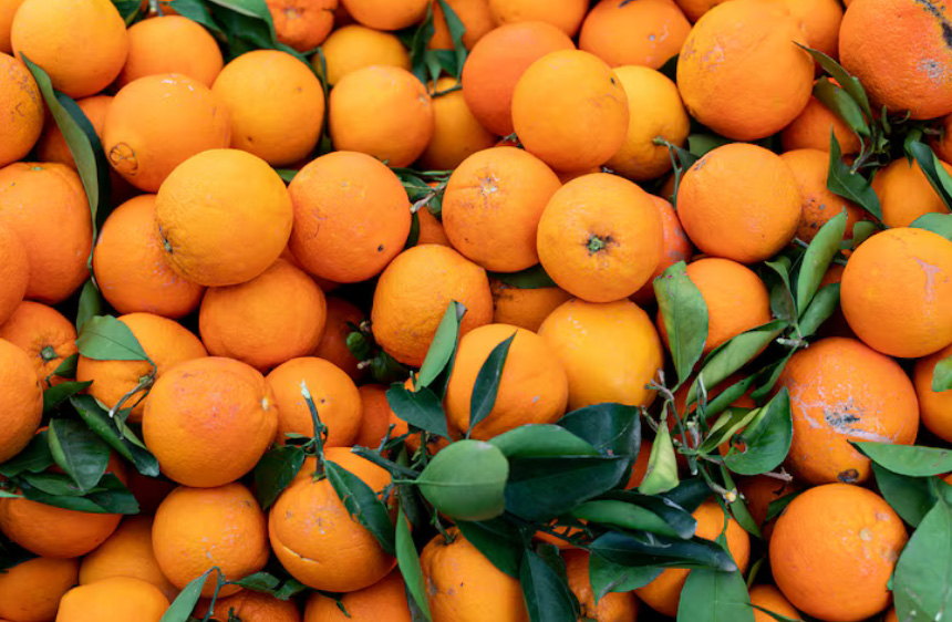 Фото: ru.freepik.com, 8photo