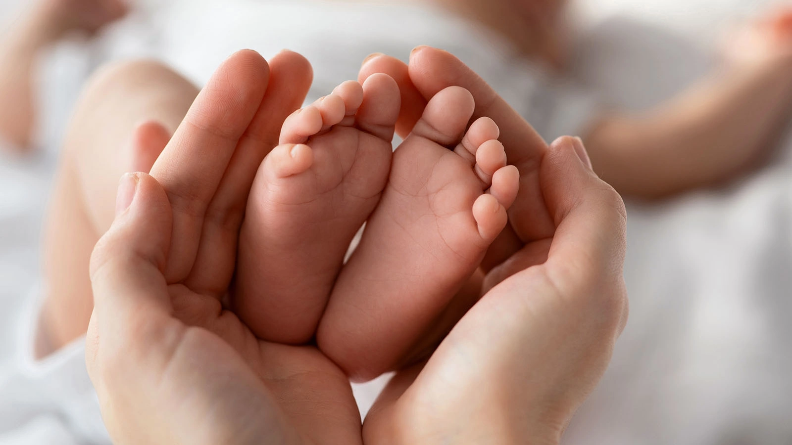 Выявили еще один способ передачи оспы обезьян. Вам нужно это знать