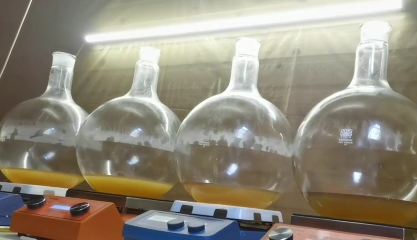 Фото: Главное управление МВД по Санкт-Петербургу и Ленинградской области