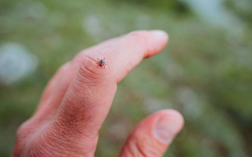 Aleksey Matrenin / Shutterstock / FOTODOM