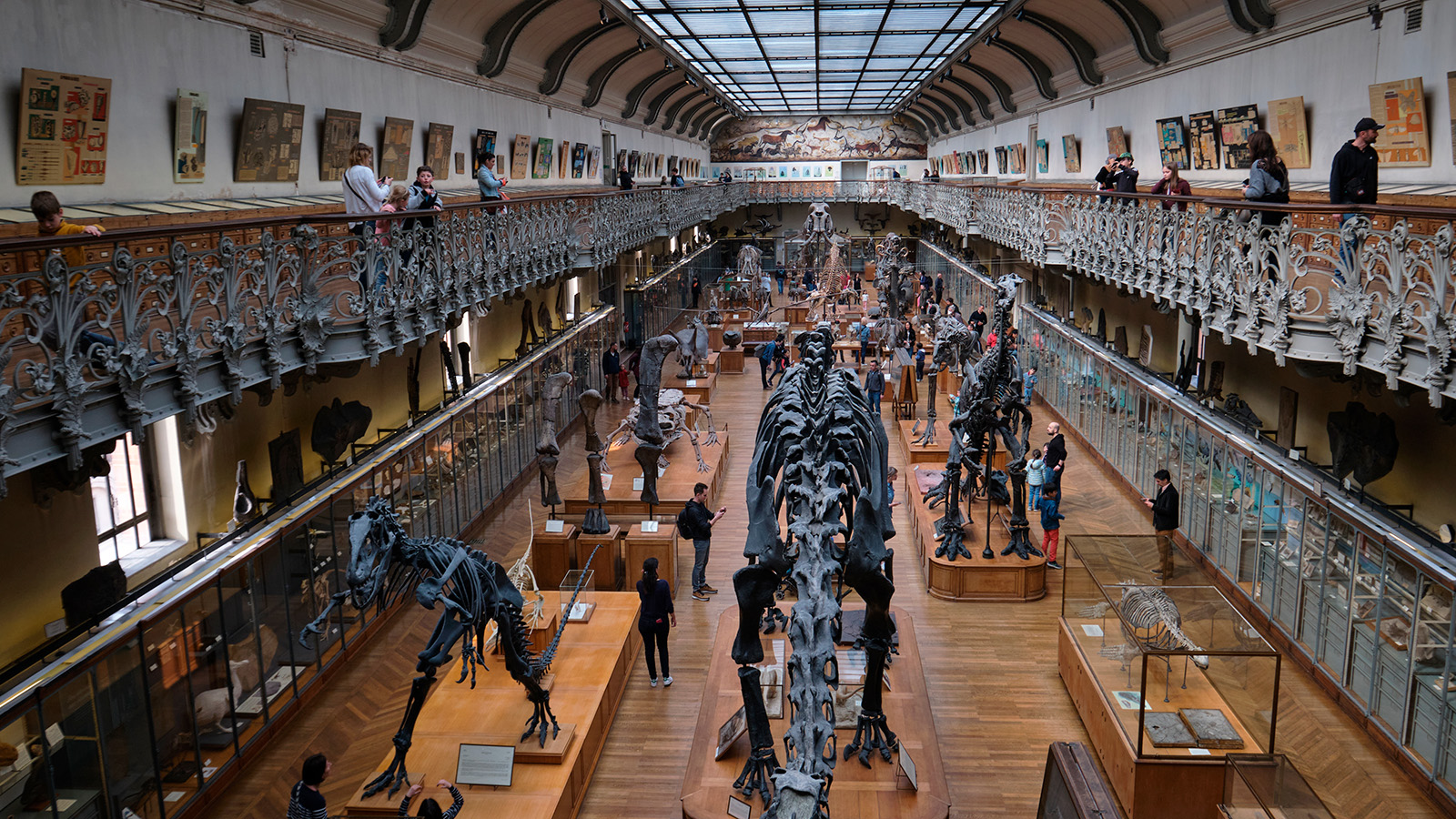 Национальный музей естественной истории