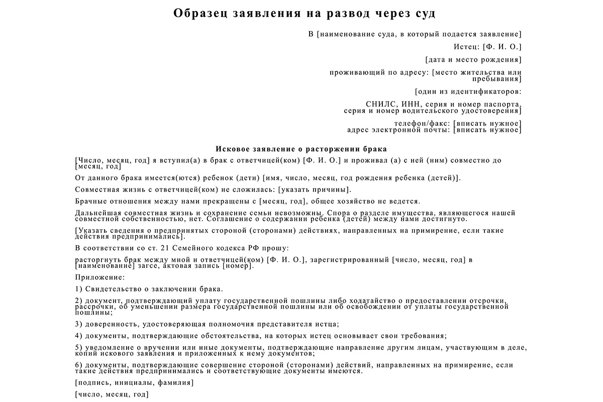 Образец заявления на развод через суд