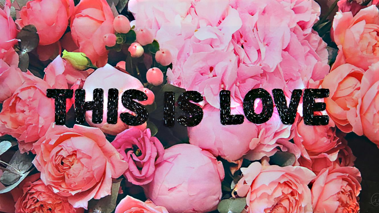 Саша Слон, This is love