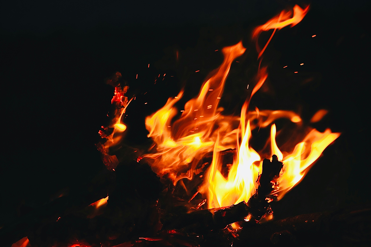 Какие звуки могут повлиять на восприятие вина и гастрономии в целом?