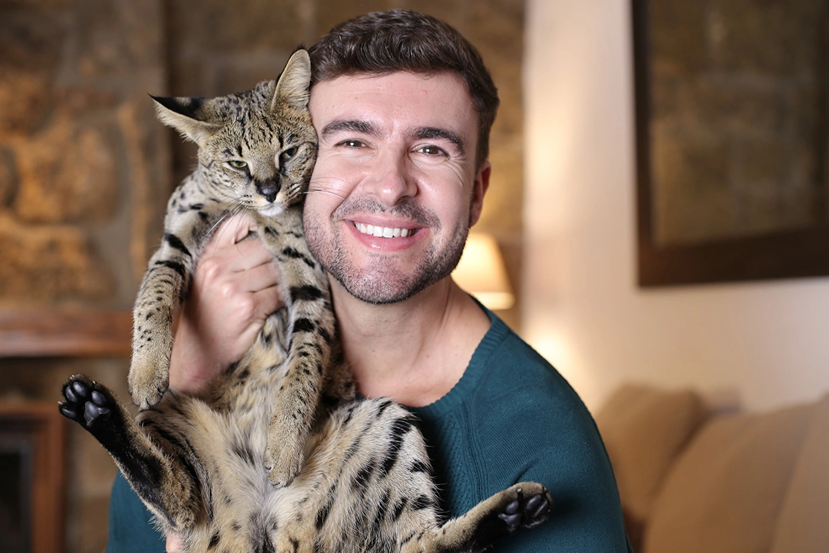 Кошка породы саванна