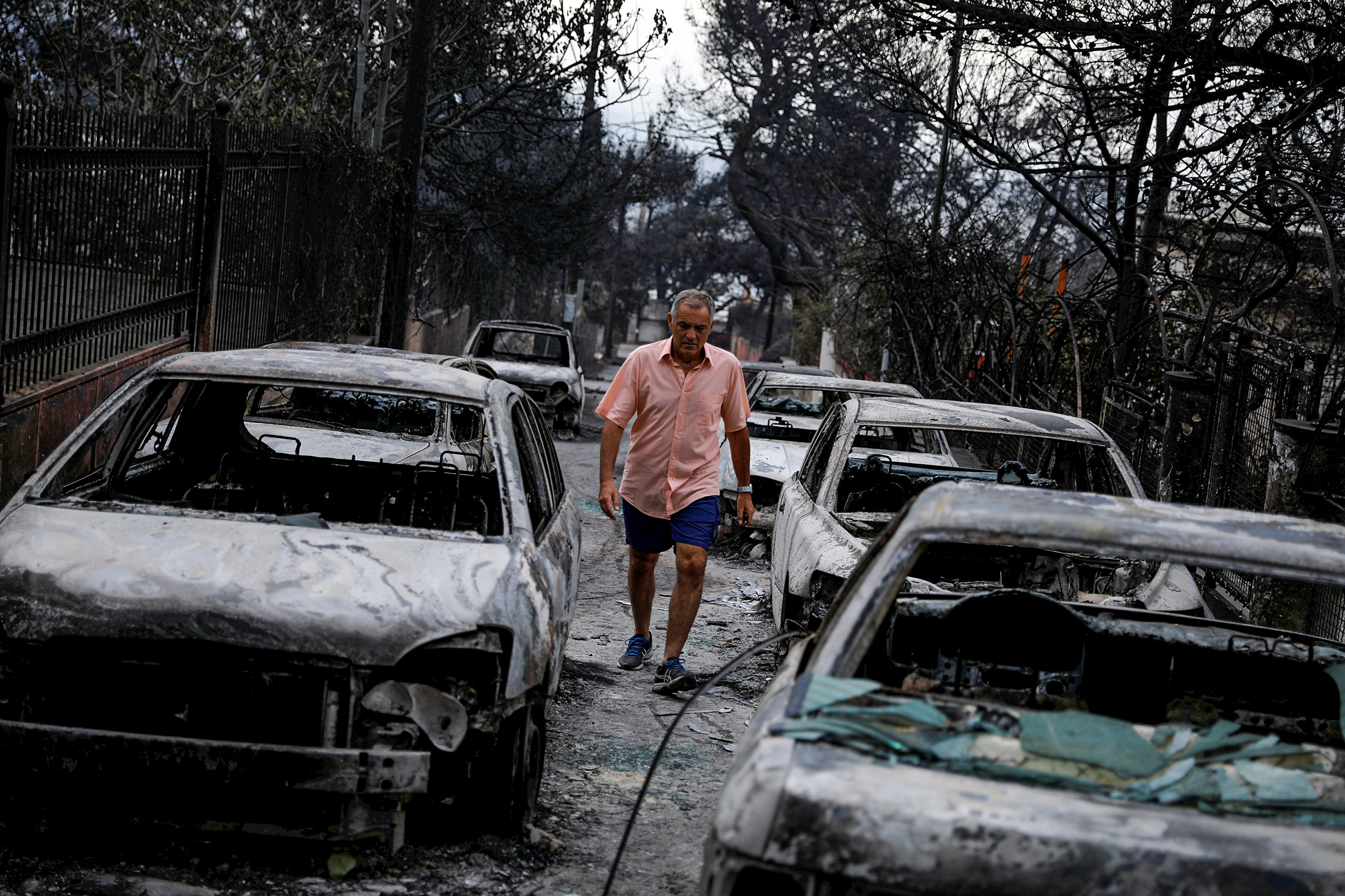 Сгорели около&nbsp;500 домов и 200 автомобилей.
