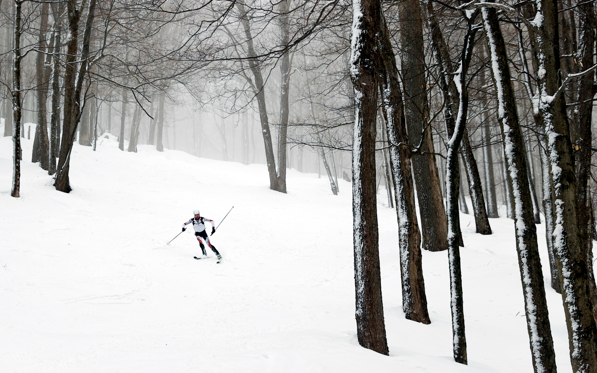 Фото: Maddie Meyer/Getty Images