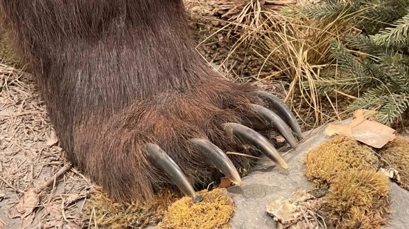 РБК Приморье