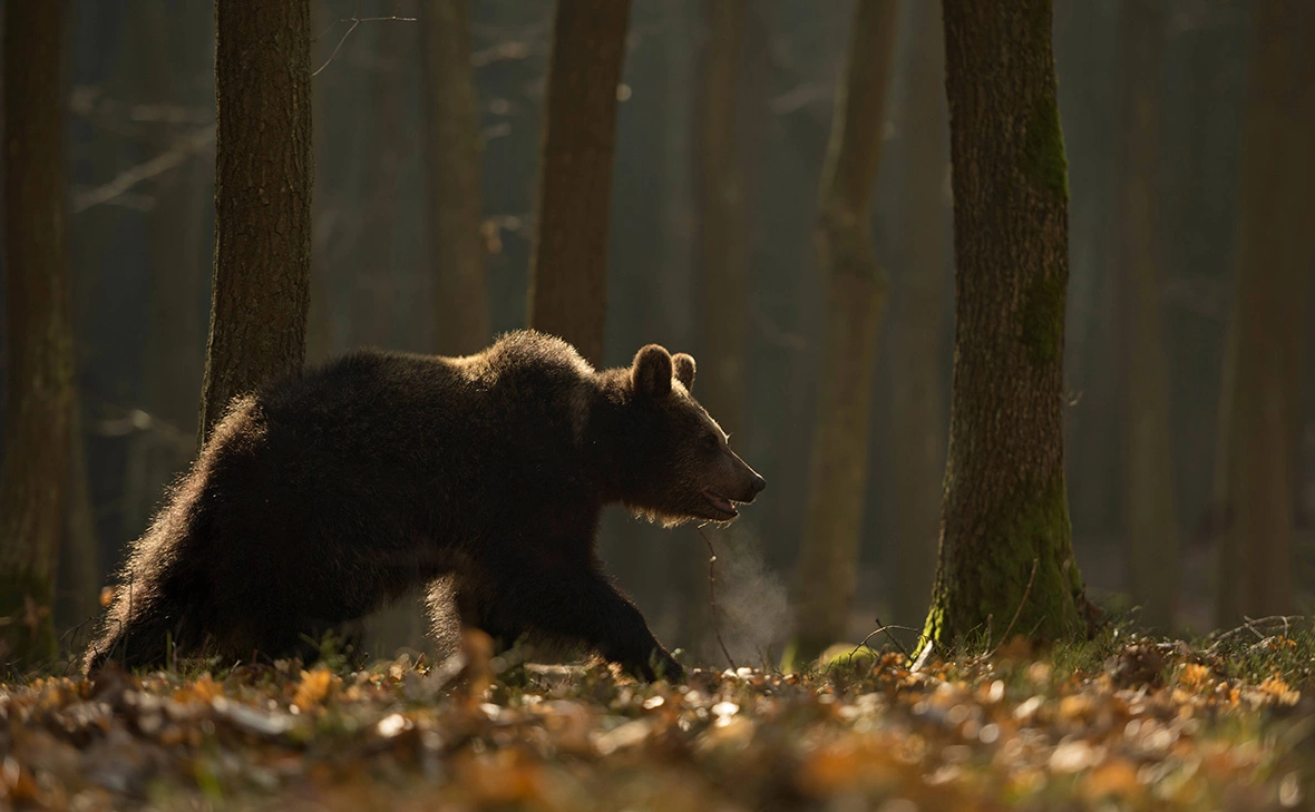 Ralf Kistowski / Imago / Gloabal Look Press